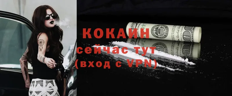 купить закладку  нарко площадка какой сайт  COCAIN Fish Scale  Новоаннинский 